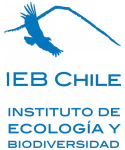 9 IEB-logoAzul